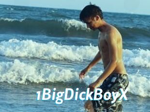 1BigDickBoyX