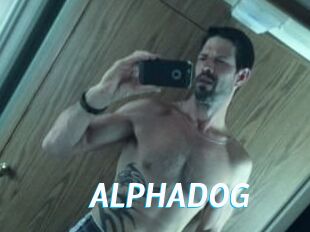 ALPHADOG