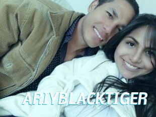ARIYBLACKTIGER