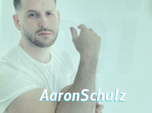 AaronSchulz