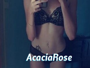 AcaciaRose