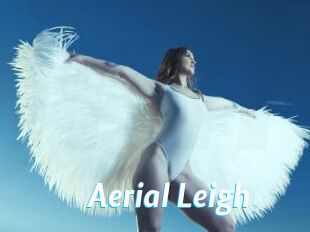 Aerial_Leigh