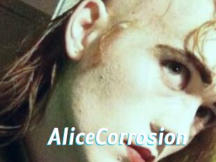 AliceCorrosion