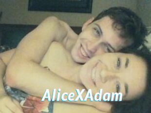 Alice_X_Adam
