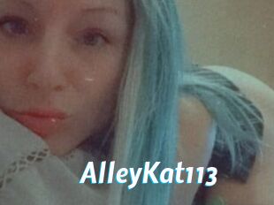 AlleyKat113