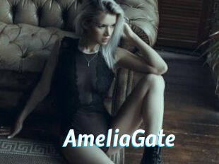 AmeliaGate