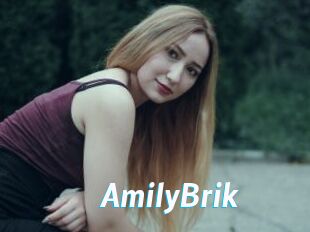AmilyBrik