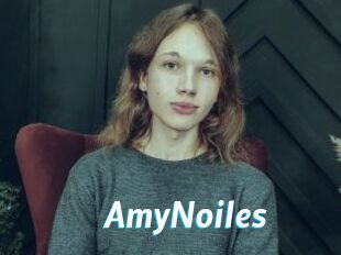 AmyNoiles