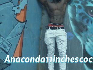 Anaconda11inchescock
