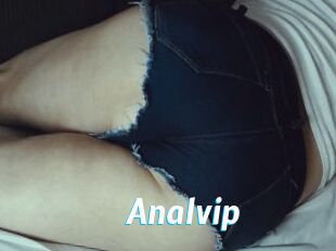 Analvip