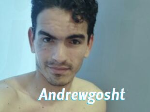 Andrewgosht