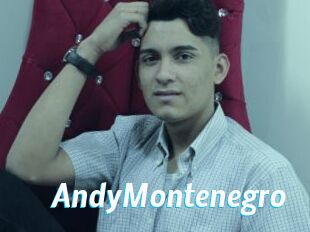 AndyMontenegro