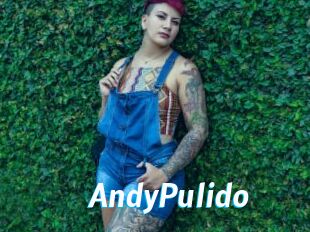 AndyPulido