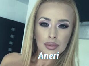 Aneri