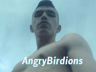 AngryBirdions