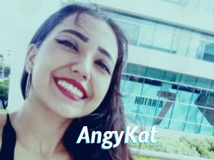 AngyKat