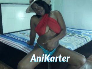 AniKarter