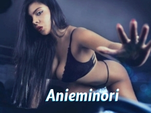 Anieminori