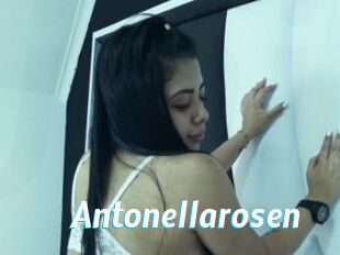 Antonellarosen