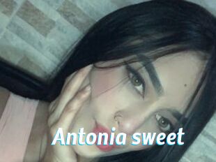 Antonia_sweet