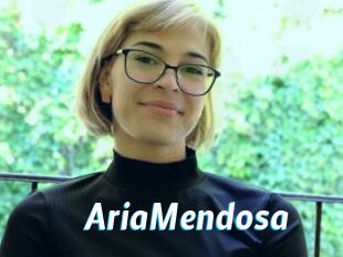 AriaMendosa
