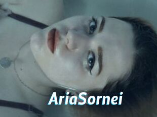 AriaSornei