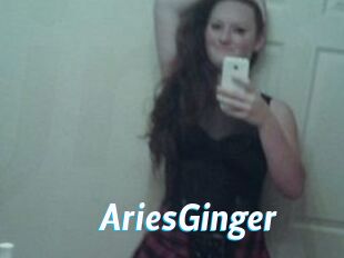AriesGinger