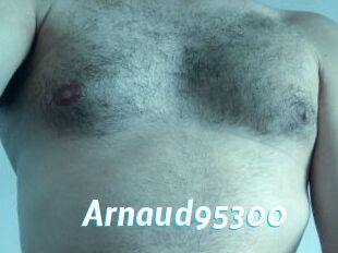 Arnaud95300