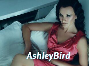 AshleyBird
