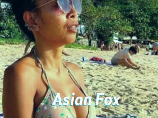 Asian_Fox