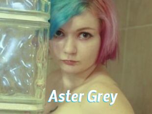 Aster_Grey