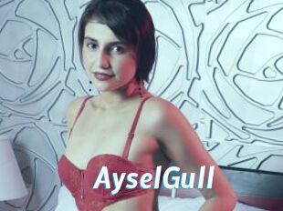 AyselGull
