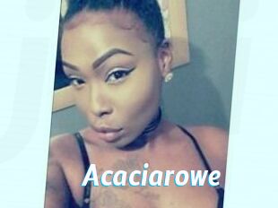 Acacia_rowe