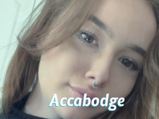 Accabodge