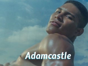 adamcastle J Mine