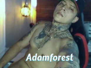 Adamforest