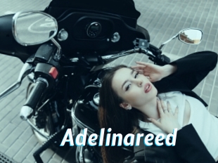 Adelinareed
