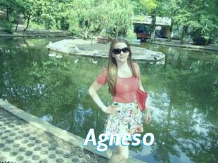 Agnes0
