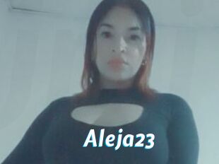 Aleja23