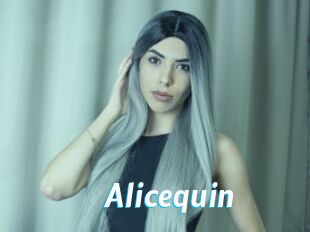 Alicequin