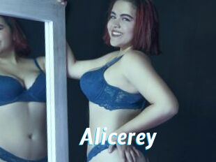 Alicerey