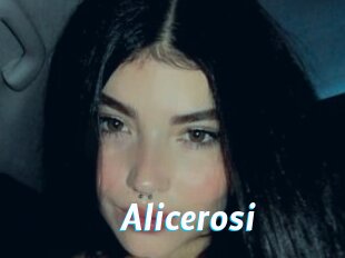 Alicerosi