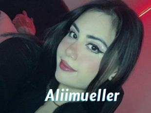 Aliimueller