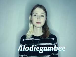 Alodiegambee