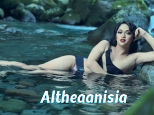 Altheaanisia