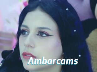Ambarcams