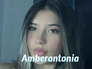 Amberantonia