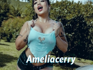 ameliacerry J Mine