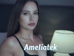 Ameliatek