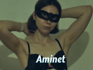 Aminet